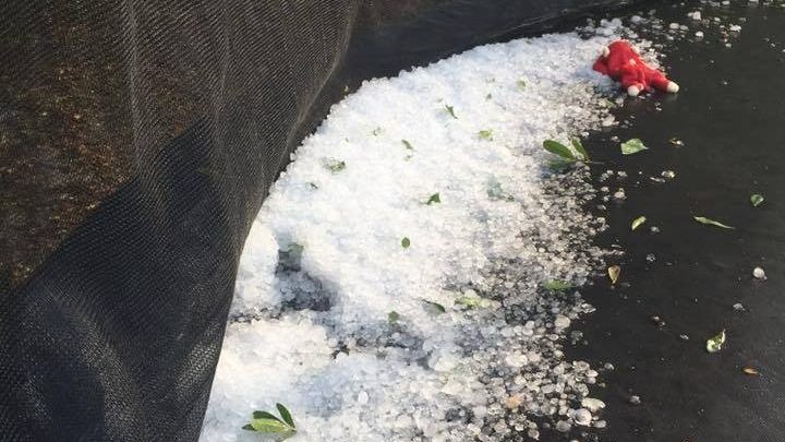 Severe weather with hail